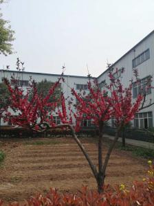 廠(chǎng)容廠(chǎng)貌